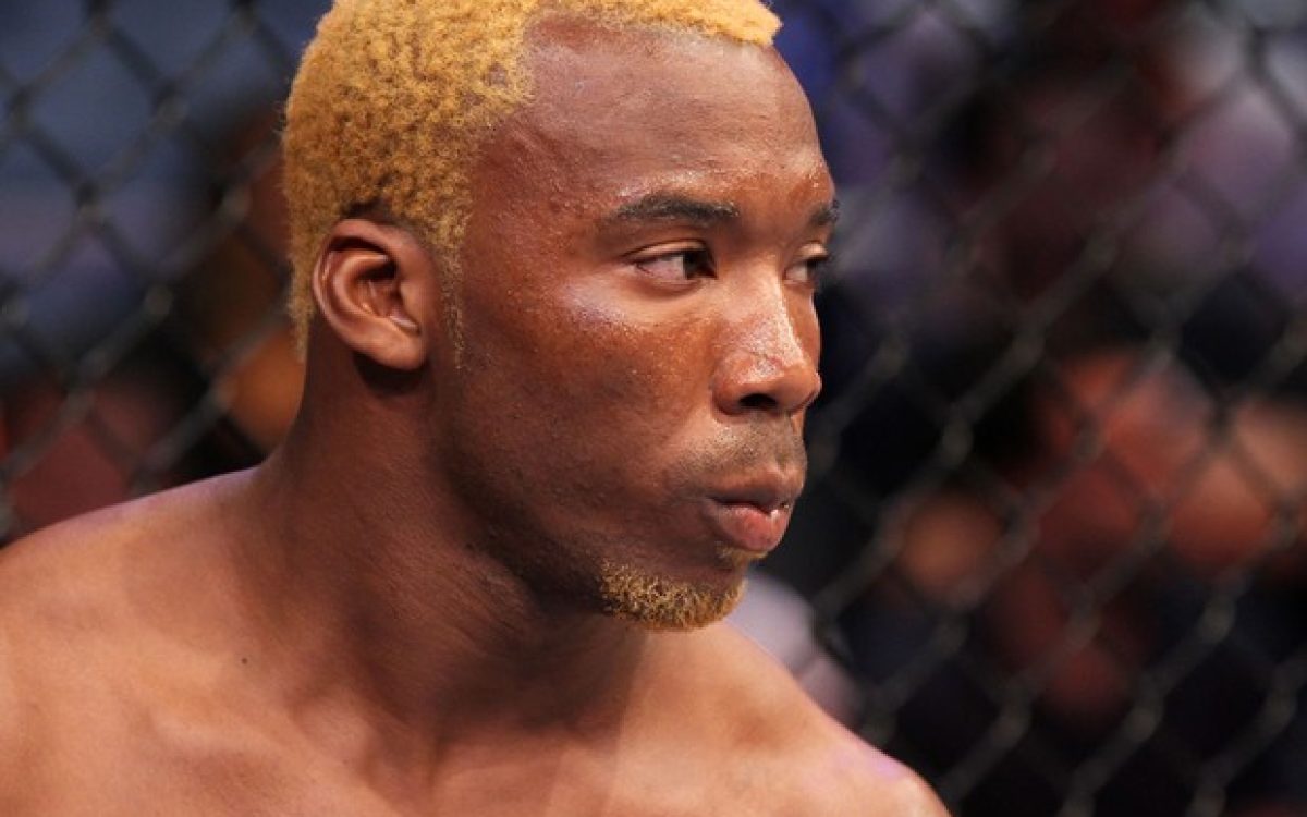UFC DEMITE 5 BRASILEIROS